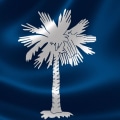 The Ultimate Guide to Starting a Nonprofit Organization in Upstate South Carolina